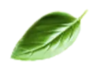SẢN PHẨM