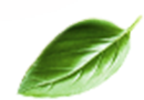 Sản phẩm